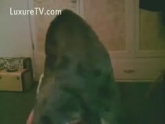 Massive and athletic dog screwing an amateur milf in her cookie 